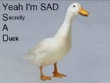 sad