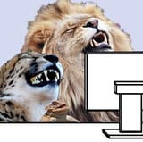 laughing big cats_face