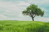 bOvf94dPRxWu0u3QsPjF_tree
