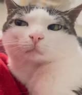 Thread 24571308 OP Image