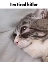 i&#039;m tired hitler