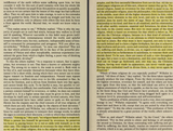 Screenshot 2025-06-26 at 15-13-49 Conversations of German refugees Wilhelm Meister&#039;s journeyman years or The renunciants - The Collected Works _ 10 Conversations of German Refugees_ -- Johann Wolfgang von Goethe Jan van Heurc[...]