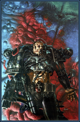 noise marine (1)