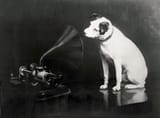 OriginalNipper(1)