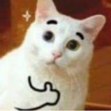 1561882715631