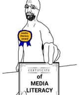 media lit degree