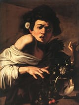 caravaggiolizard
