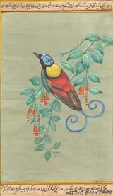 031-1