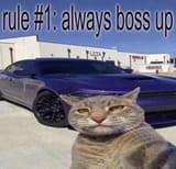 rule-always-boss-up-v0-0bbaxw5yx2ia1