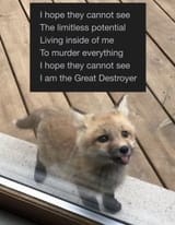 Thread 24516149 OP Image