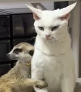 1738798444006523
