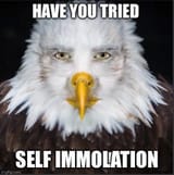 1743926039518563