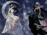 light and shadow fairies 