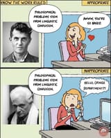 philosophical problems stem from linguistic confusion