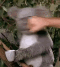1705382794812519
