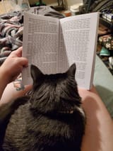 I read