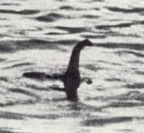 Hoaxed_photo_of_the_Loch_Ness_monster