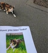 1751508860071