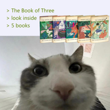 1723043028591443