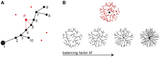 Generating-neuronal-branching-structures-using-optimized-graphs-A-The-growth-described