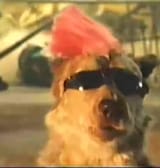 ruff