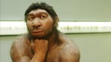 160113094817-neanderthals-allergies