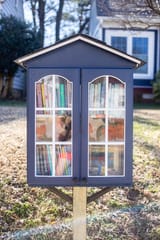 Little-Free-Library-1