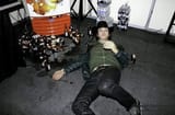 cerati(1)