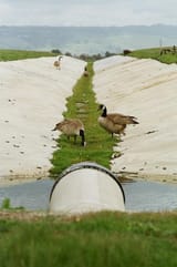 319888681