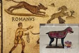 dogs-ancient-rome-2