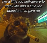 delusional and self-aware kitty