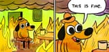 fine