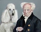 poodle