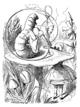 Alice Meets Drug Culture
