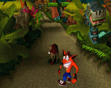 Hog_wild