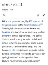 Erica (plant) - Wikipedia