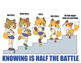 Furrychart-429675769