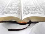 King-James-Bible-58b5c8753df78cdcd8bbbfef
