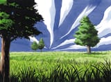 plains