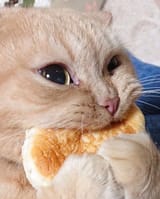 by all means &#039;gimmie&#039;