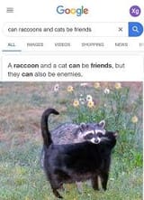 friendenemydistinction