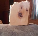 dog soul trapped in wood