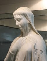 veiled