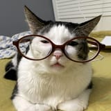 reading glasses