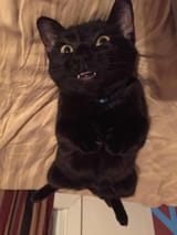gahuehuahhaha