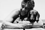 bernstein dog