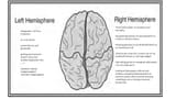 leftbrainrightbrain