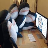 Shark