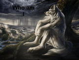 where