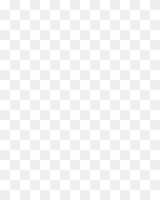 320bg